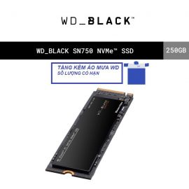 [Mã ELWDSD giảm 8% tối đa 300K] Ổ cứng SSD WD Black 250GB SN750 M.2 PCIe Gen3 x4 NVMe WDS250G3X0C