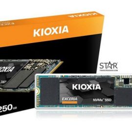 Ổ cứng SSD 250G KIOXIA M.2 NVMe PCIe 2280 BiCS FLASH TLC (LRC10Z250GG8)