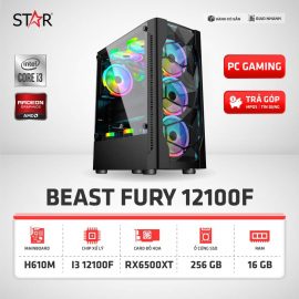 Cấu Hình Gaming BEAST FURY 12100F