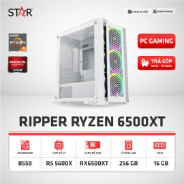 Cấu Hình Gaming RIPPER RYZEN 6500XT