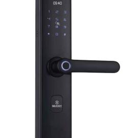 Khóa Vân Tay SEAKEY F30R